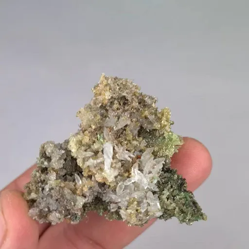 specimen video
