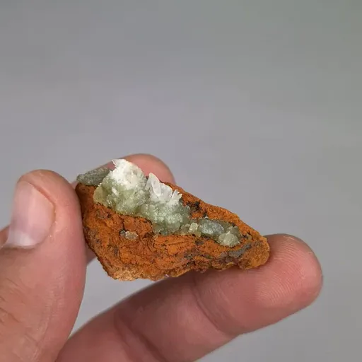 specimen video