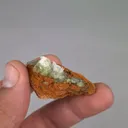 specimen video