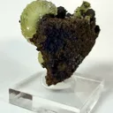 Adamite from Mexico, Durango, Mapimí, Ojuela Mine - image 3