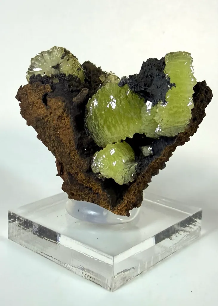 Adamite from Mexico, Durango, Mapimí, Ojuela Mine - image 2