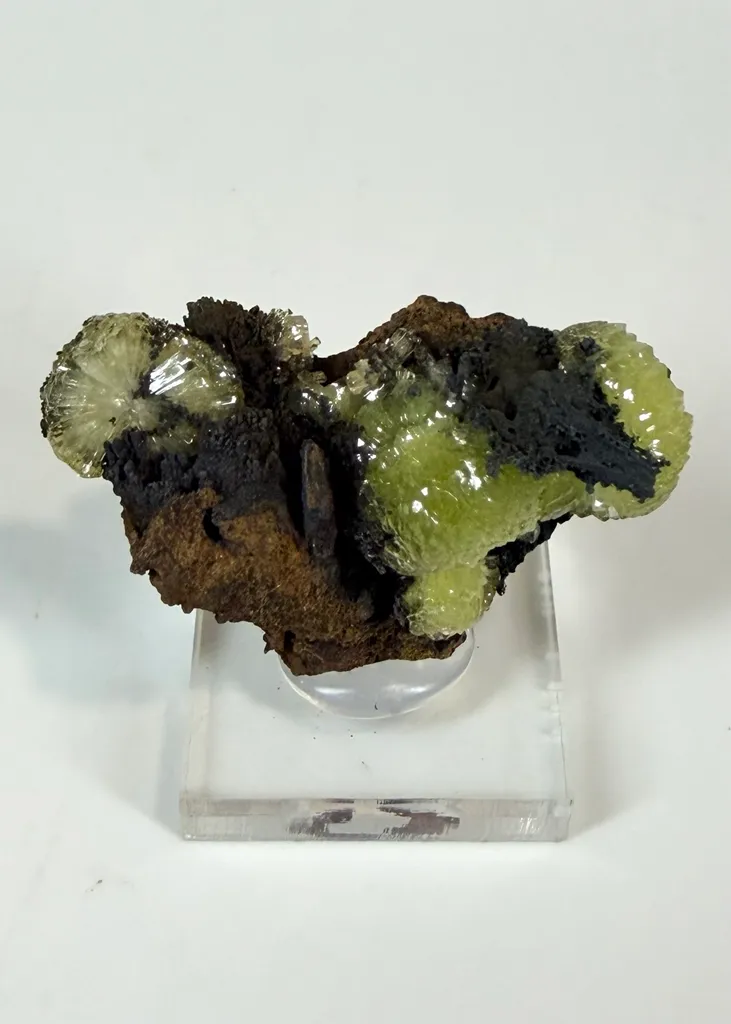 Adamite from Mexico, Durango, Mapimí, Ojuela Mine - image 4