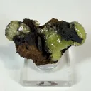 Adamite from Mexico, Durango, Mapimí, Ojuela Mine - image 4