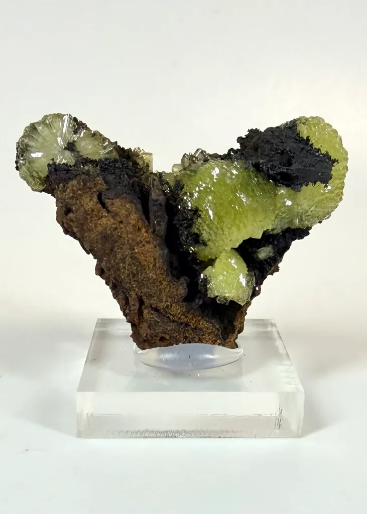 Adamite from Mexico, Durango, Mapimí, Ojuela Mine image
