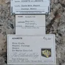 Adamite from Mexico, Durango, Mapimí, Ojuela Mine - image 2