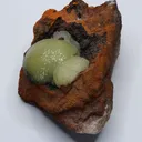 Adamite from Mexico - image 4