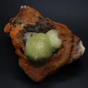 Adamite from Mexico - image 3