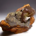 Adamite from Mexique, Durango, Mapimí, Mine Ojuela - image 5