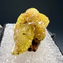 Adamite from Ojuela Mine, Mapimí, Durango, Mexico - image 3