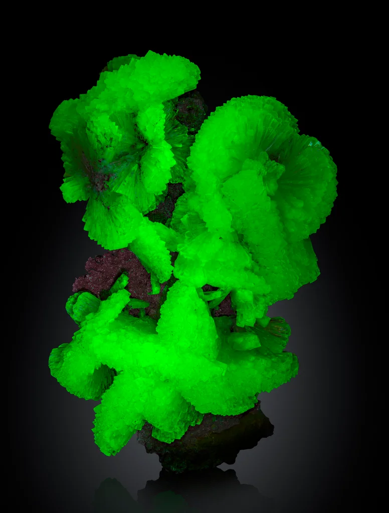 Adamite from Ojuela Mine, Mapimí, Durango, Mexico - image 2