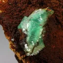 Adamite from Ojuela Mine, Mapimí, Durango, Mexico - image 5