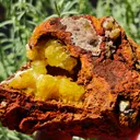 Adamite from Ojuela Mine, Mapimi, Mexico - image 1