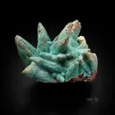 Adamite from Serpieri Mine, Kamariza Mines, Attica, Greece - image 3
