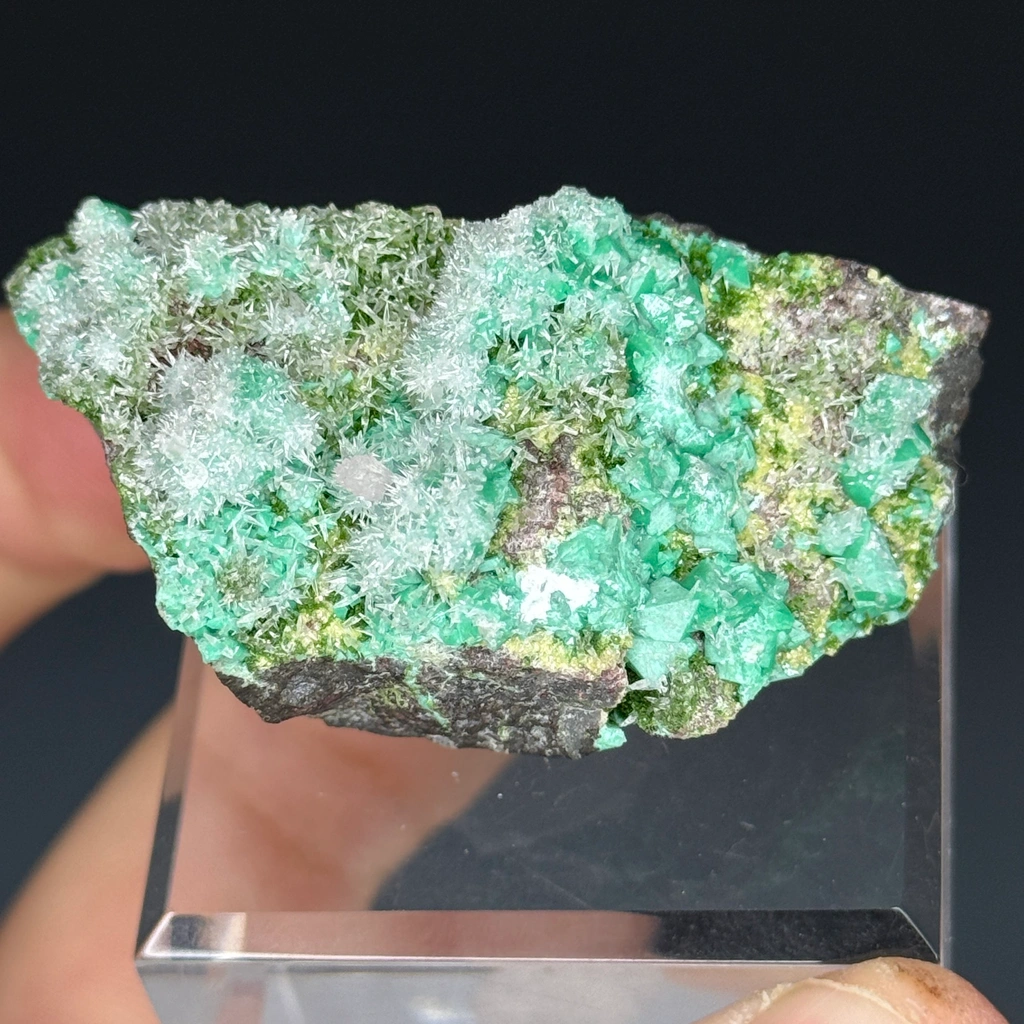 Adamite from Tsumeb, Oshikoto Region, Namibia - image 2