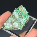 Adamite from Tsumeb, Oshikoto Region, Namibia - image 3