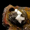 Adamite in Limonite pocket - image 5