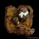 Adamite in Limonite pocket - image 4