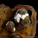 Adamite in Limonite pocket - image 6