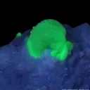 Adamite on Calcite - image 2