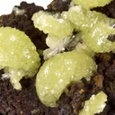 Adamite on Limonite - image 3