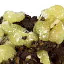 Adamite on Limonite - image 2