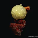 Adamite on Matrix - image 4