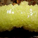 Adamite Pinwheel - image 2