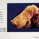 Adamite Transitioning to Manganoan Adamite - image 2