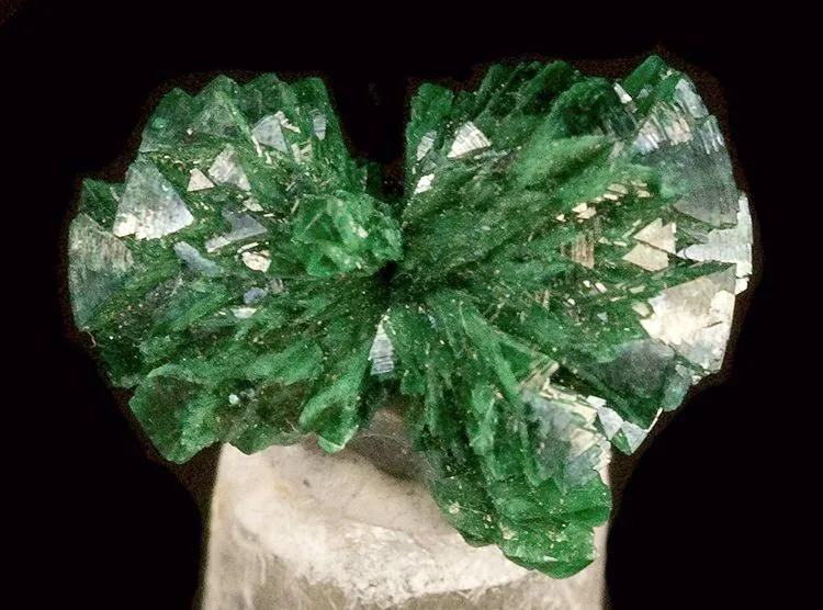 Adamite (Var: Cuprian Adamite) image