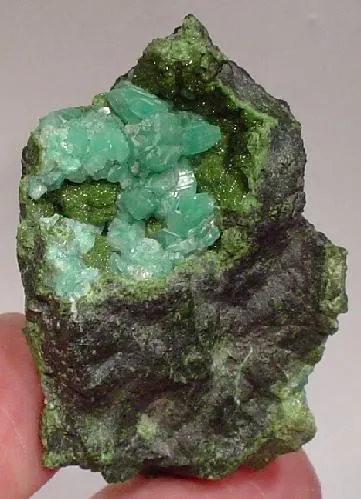 Adamite (Var: Cuprian Adamite), Olivenite image