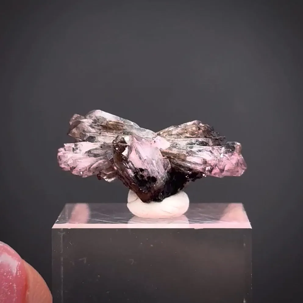 Adamite var. Manganoan image