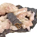 Adamite Var. Manganoan on Goethite - image 5