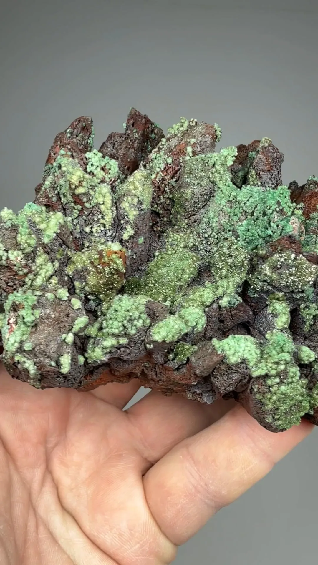 Adamite with Conichalcite on Goethite after Calcite - image 2
