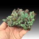 Adamite with Conichalcite on Goethite after Calcite - image 1