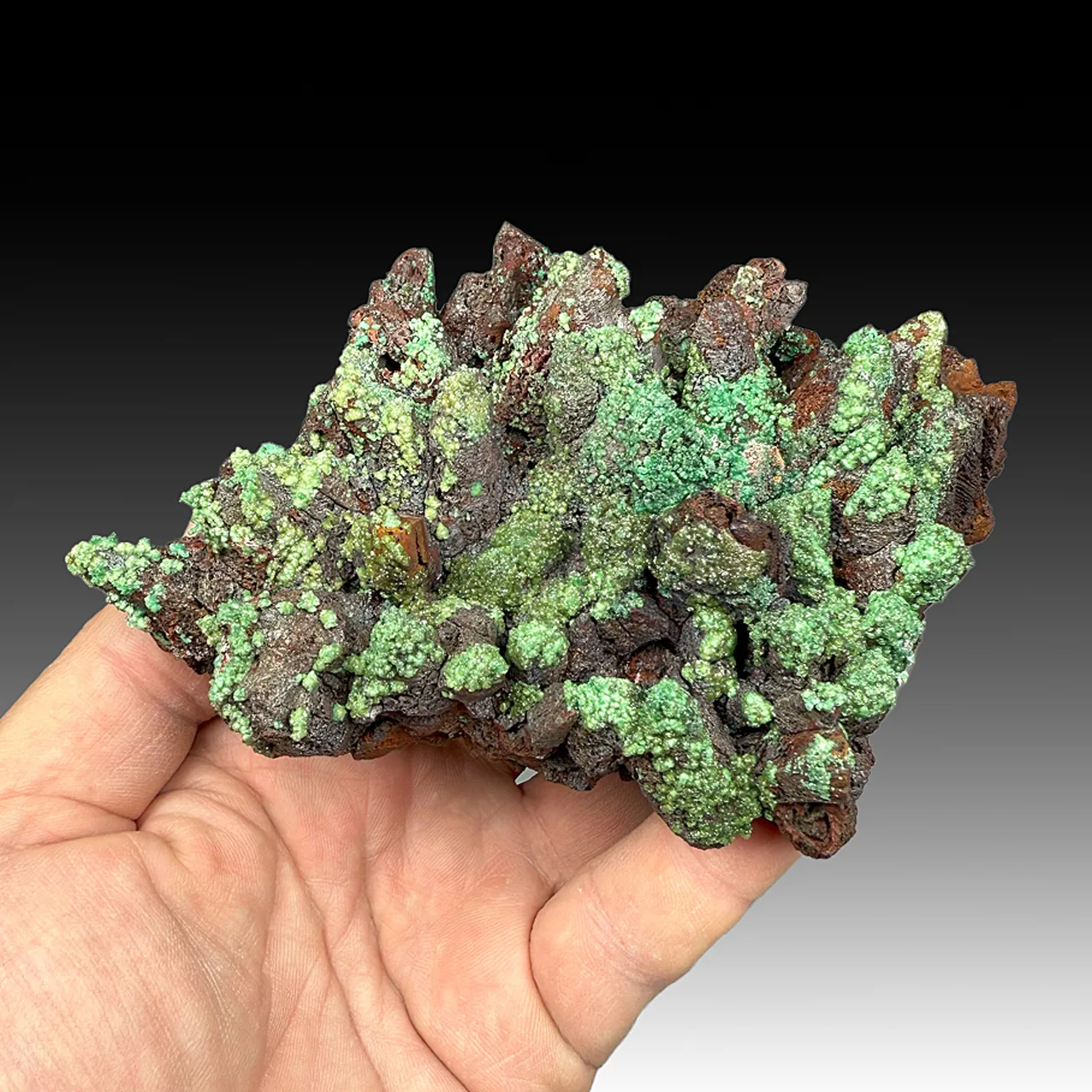 Adamite with Conichalcite on Goethite after Calcite - image 1