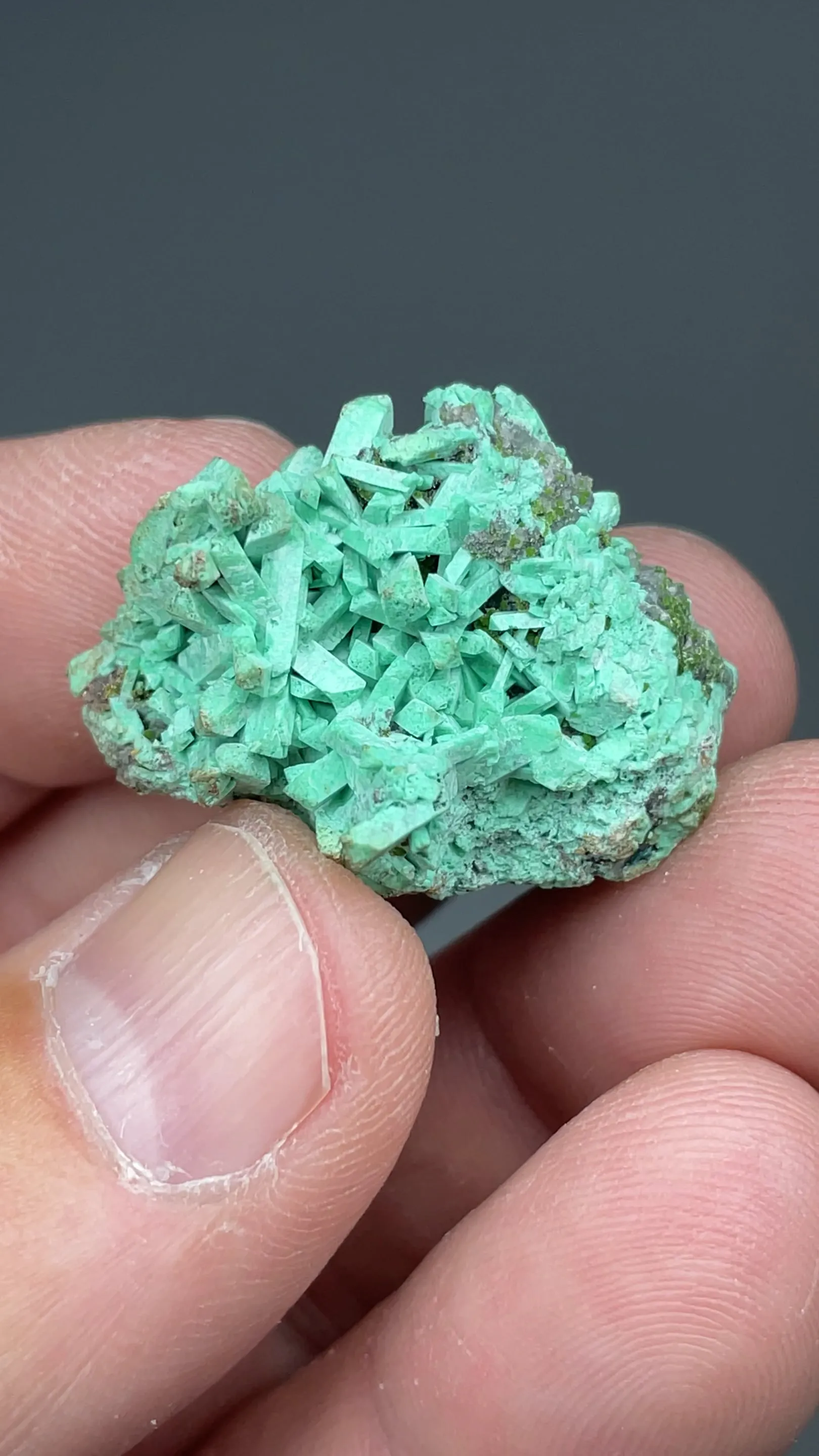 Adamite with Duftite, Quartz - image 2