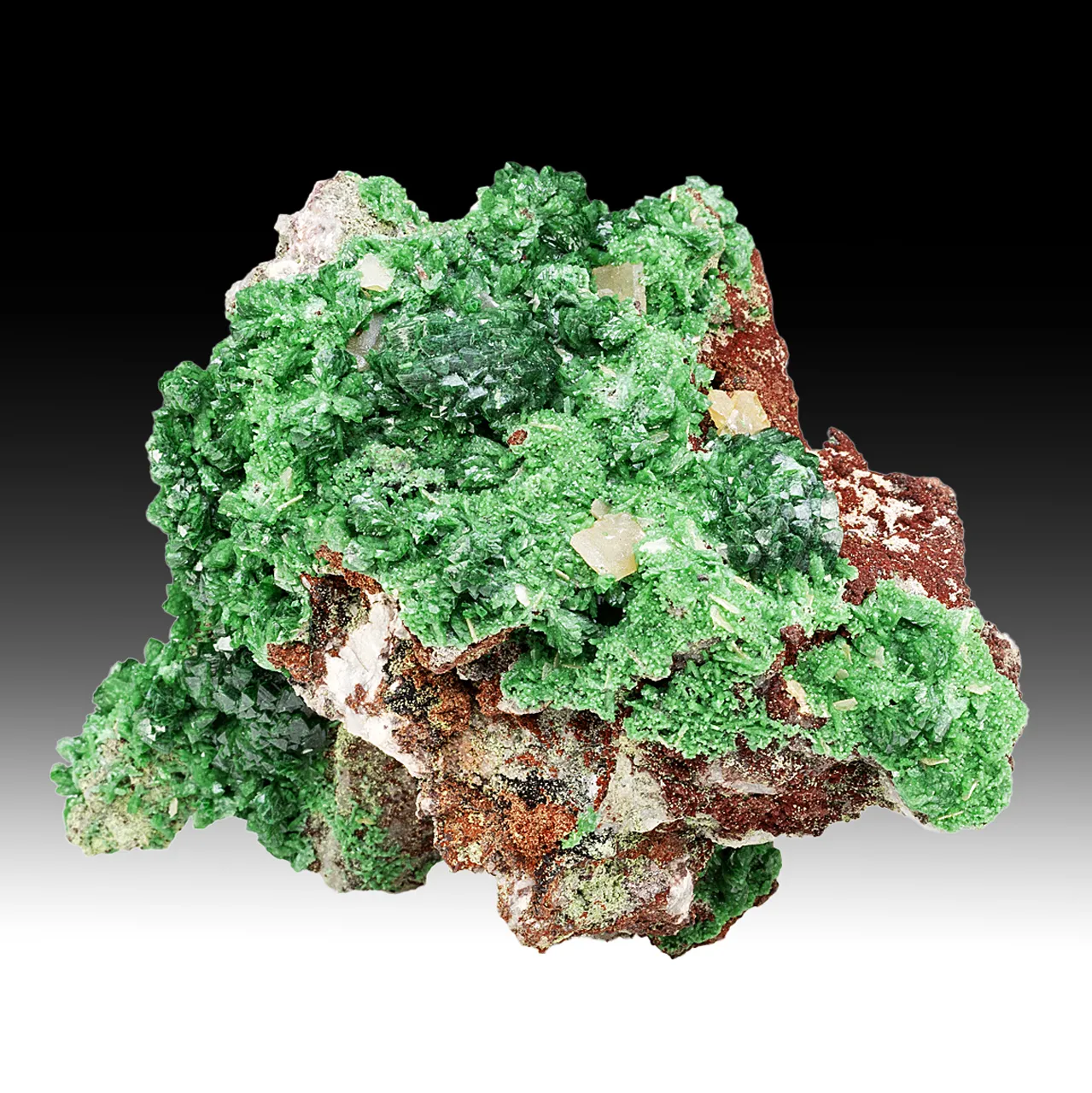 Adamite with Wulfenite - image 1