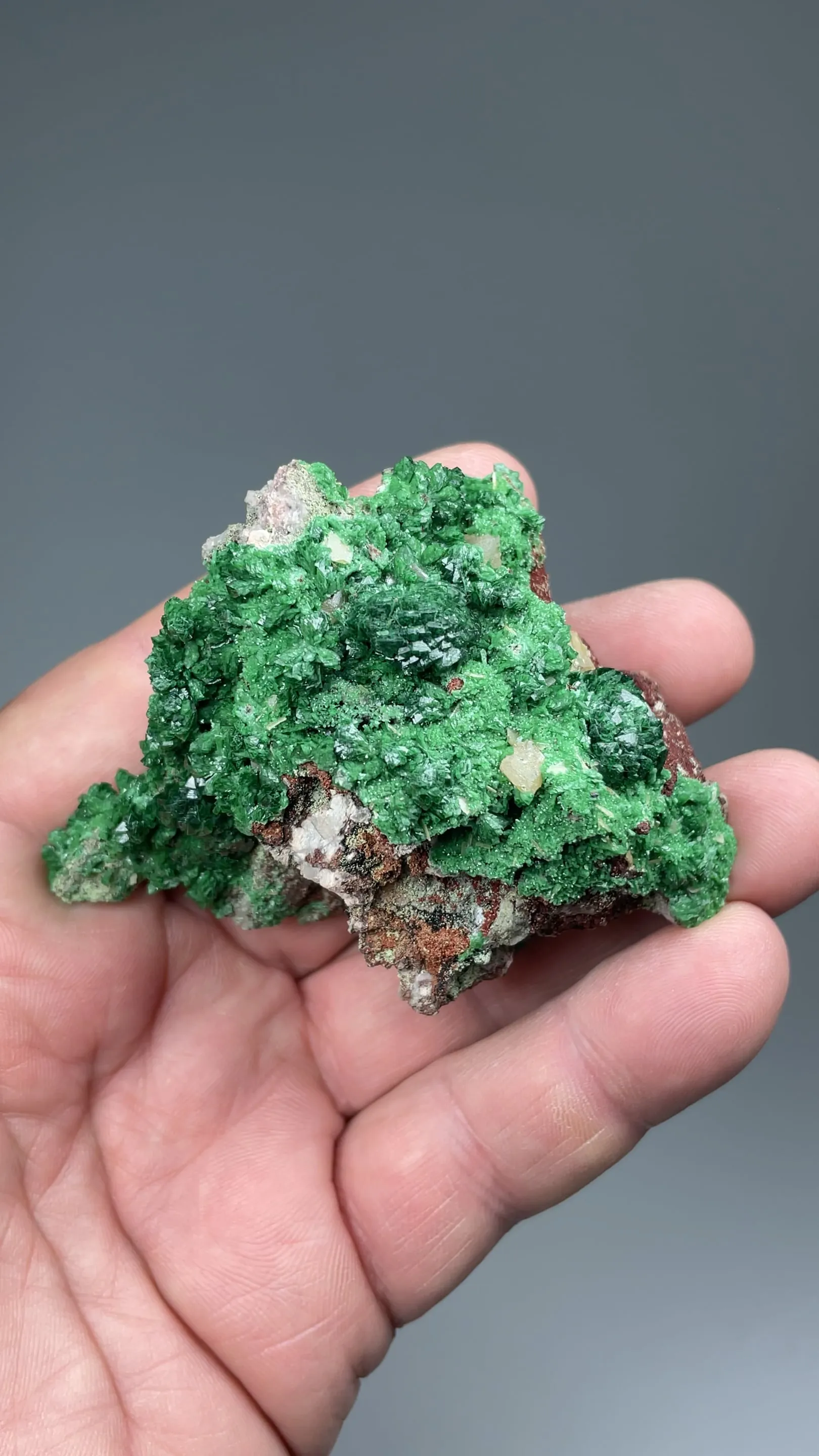 Adamite with Wulfenite - image 2