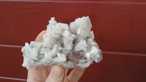 specimen video