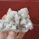 specimen video
