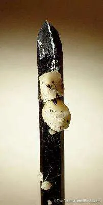 Aegirine - image 3