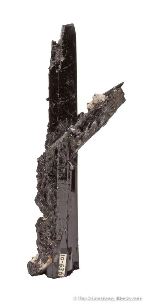 Aegirine - image 4