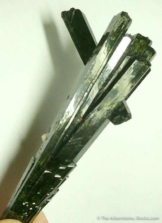 Aegirine Cluster (Floater!) image