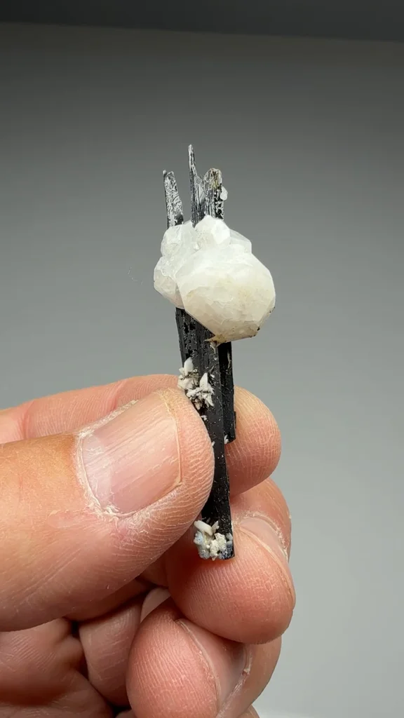 Aegirine from Poudrette Quarry - image 2