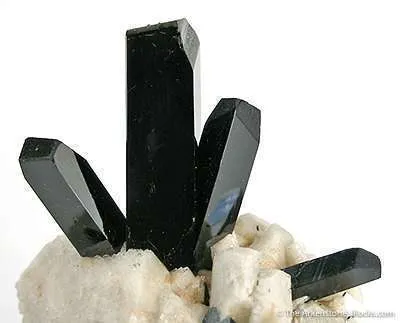 Aegirine on Orthoclase - image 4