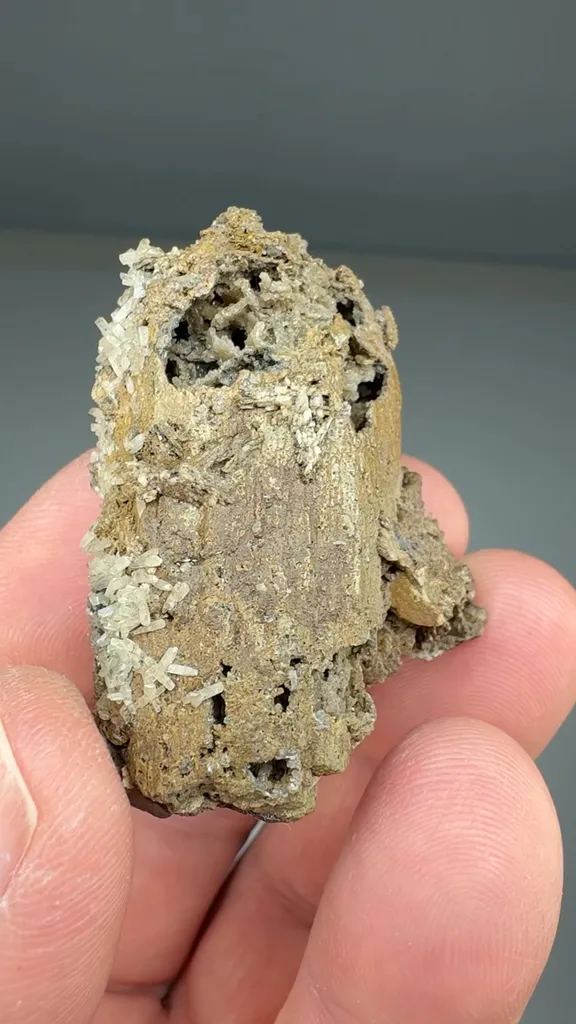 Aegirine pseudomorph with Quartz - image 2