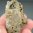 Aegirine pseudomorph with Quartz - image 2