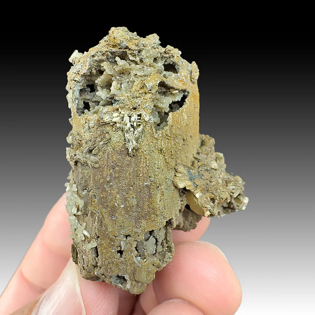 Aegirine pseudomorph with Quartz image
