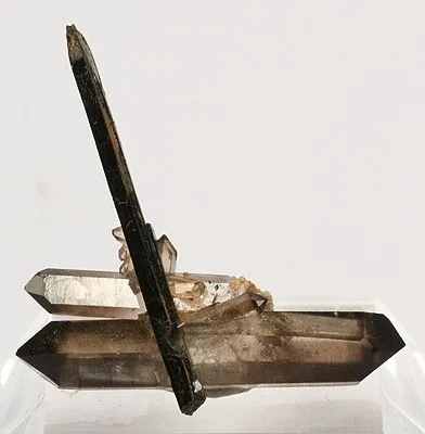 Aegirine, Quartz (Var: Smoky Quartz) - image 1