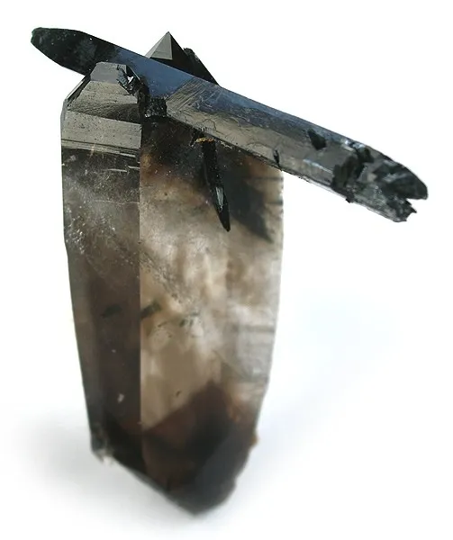 Aegirine, Quartz (Var: Smoky Quartz) image